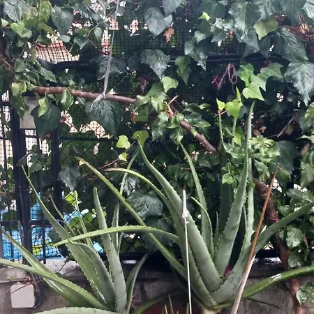 Garden's House *