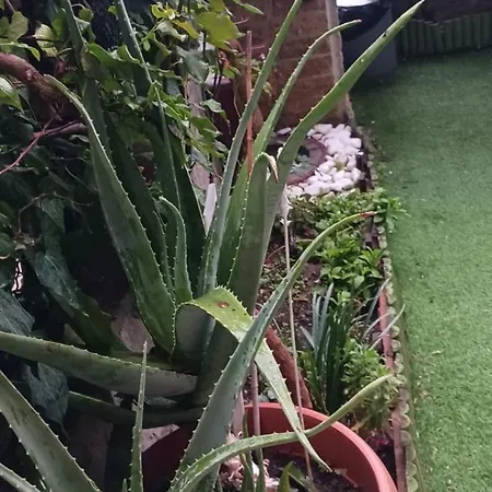 Garden's House