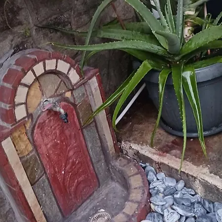 Garden's House *